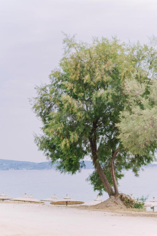 Blue Stone Luxury Suites Limenaria  Dış mekan fotoğraf